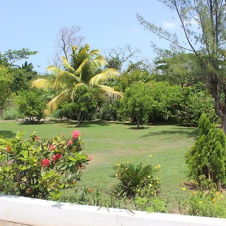Villa Loyola Ocho Rios Buitenkant foto