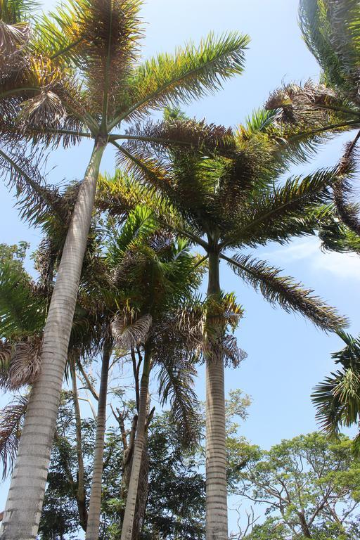 Villa Loyola Ocho Rios Buitenkant foto