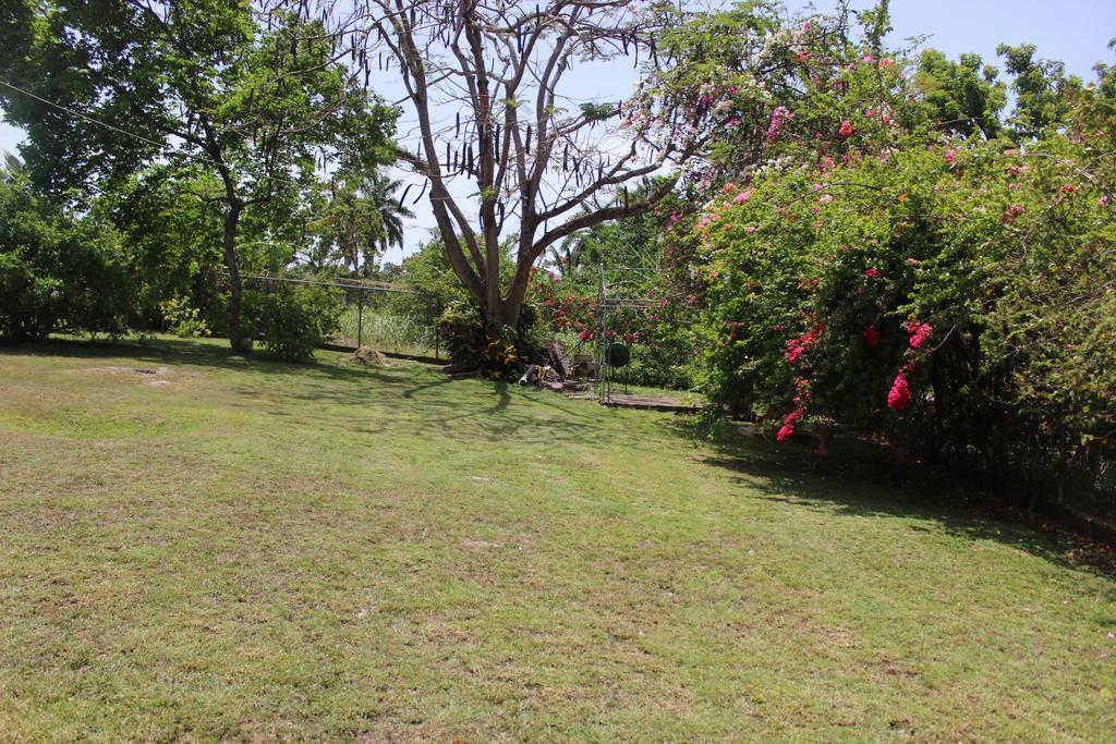 Villa Loyola Ocho Rios Buitenkant foto