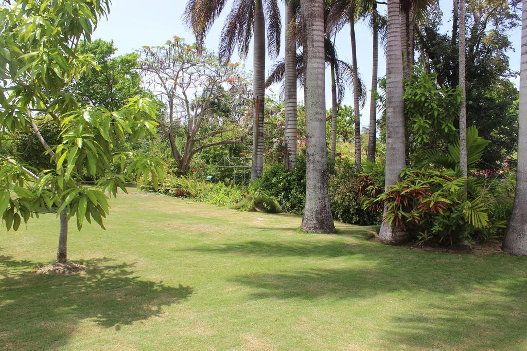 Villa Loyola Ocho Rios Buitenkant foto