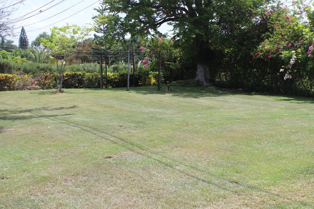 Villa Loyola Ocho Rios Buitenkant foto