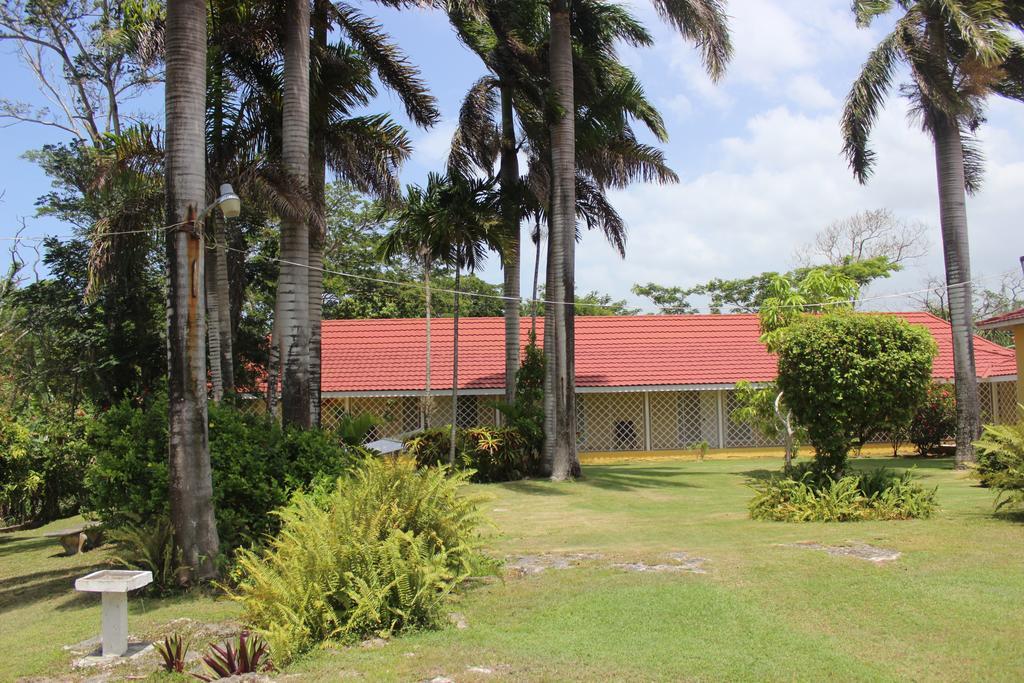 Villa Loyola Ocho Rios Buitenkant foto