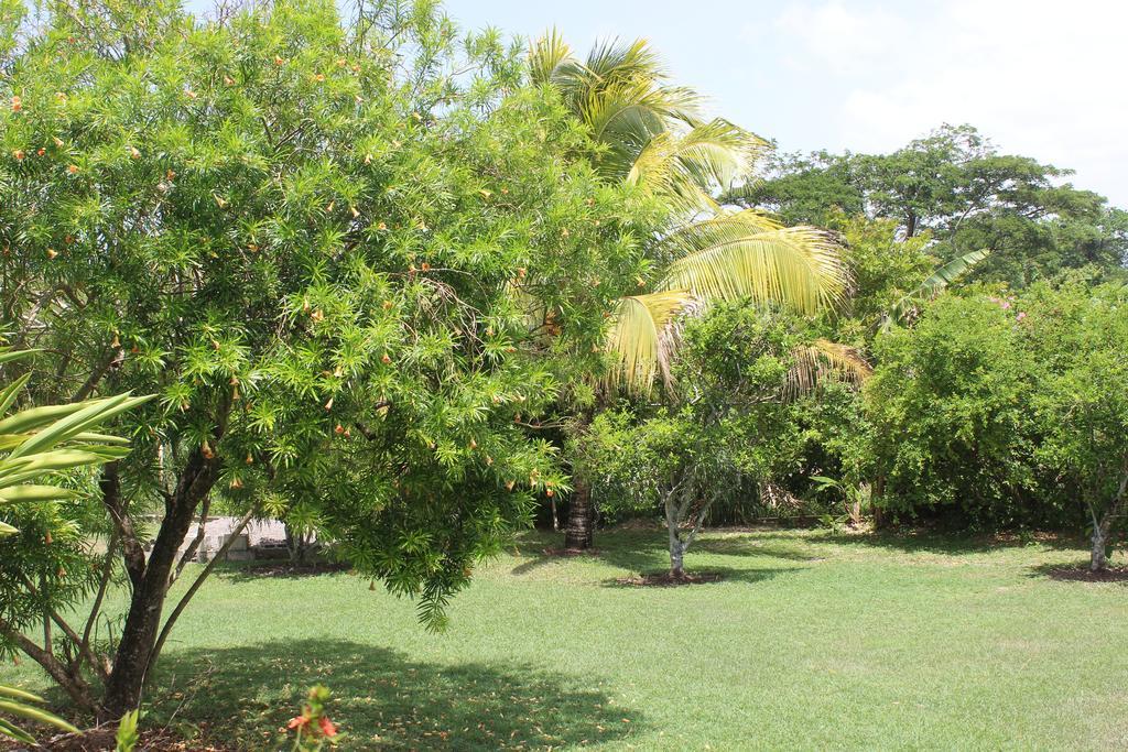 Villa Loyola Ocho Rios Buitenkant foto