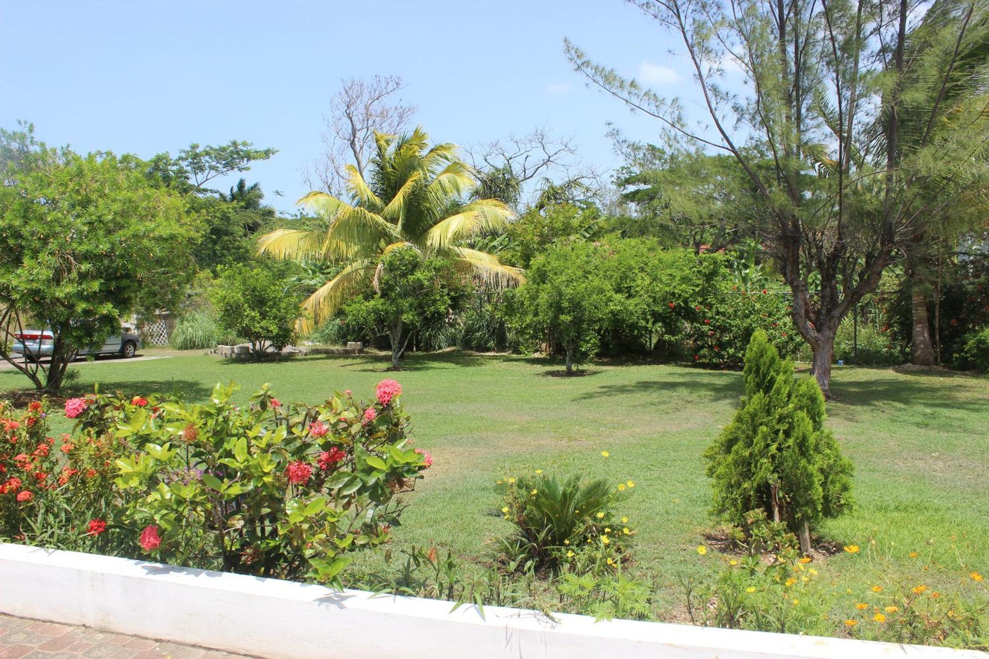 Villa Loyola Ocho Rios Buitenkant foto