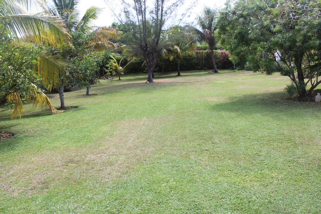 Villa Loyola Ocho Rios Buitenkant foto