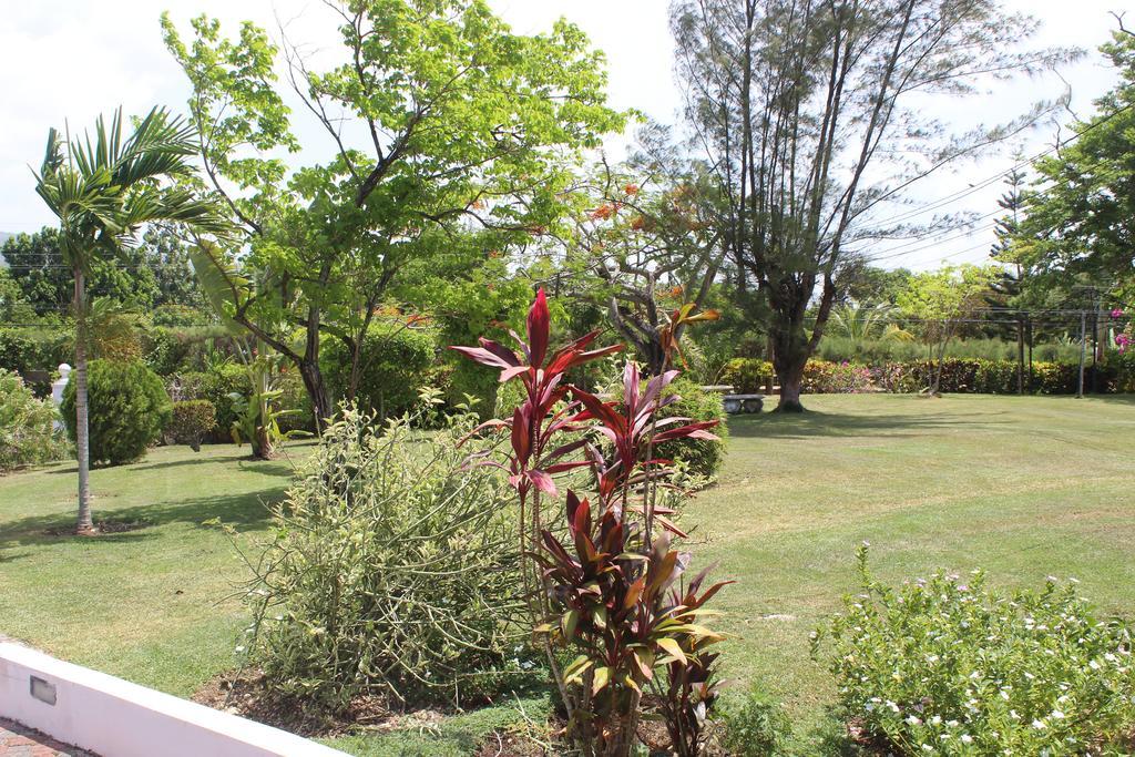 Villa Loyola Ocho Rios Buitenkant foto