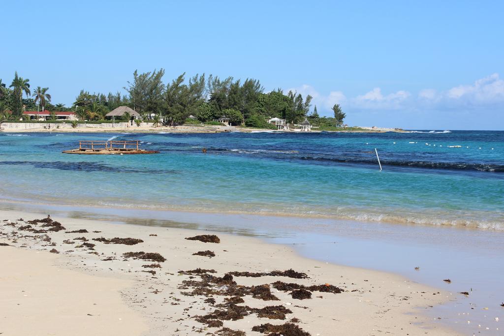 Villa Loyola Ocho Rios Buitenkant foto